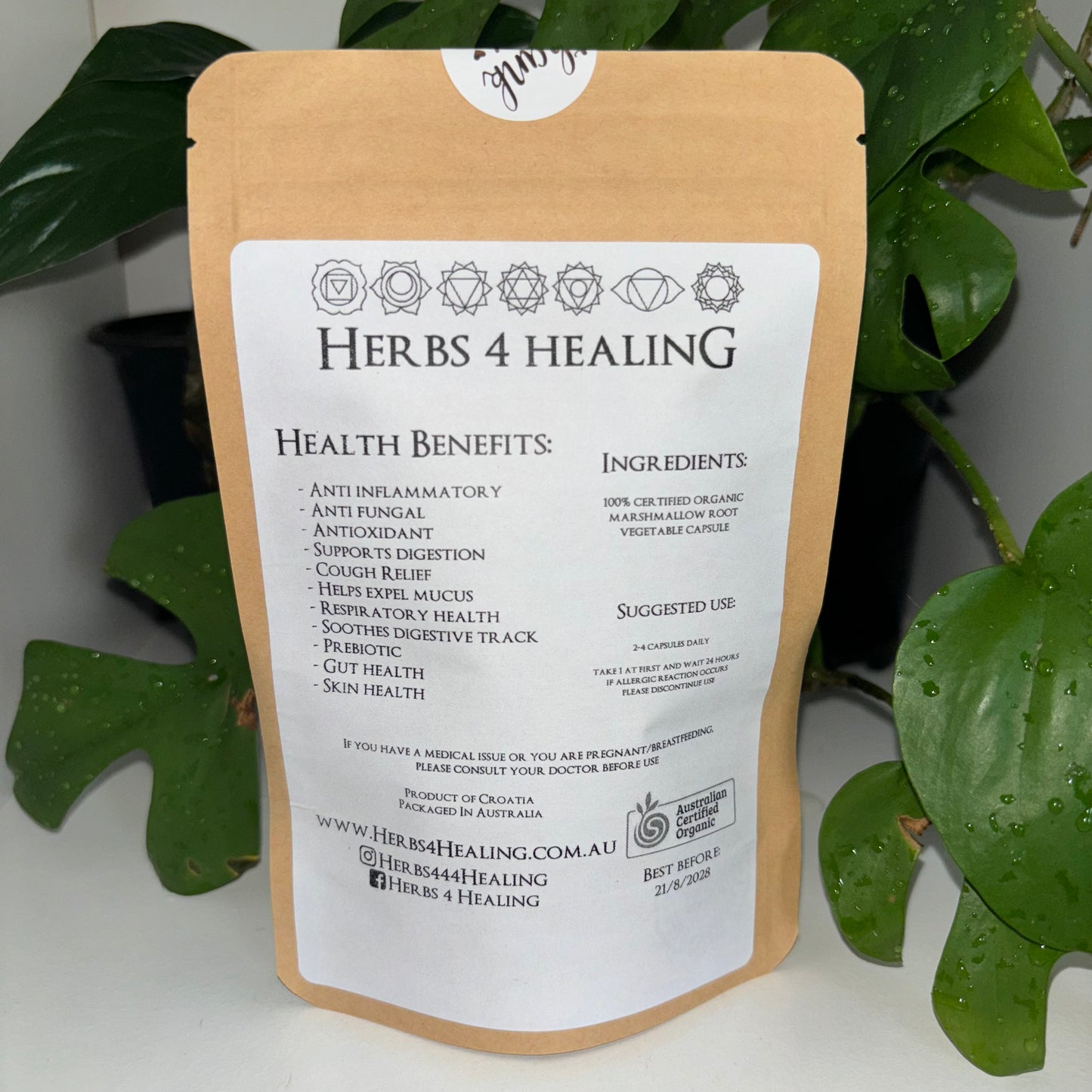 Certified Organic Marshmallow Root (Gut Health & Prebiotic)
