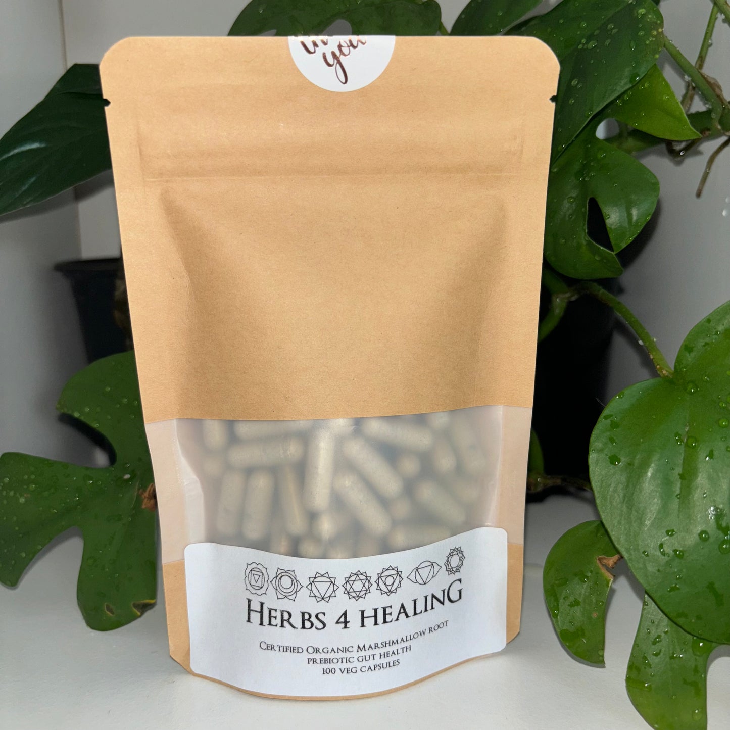 Certified Organic Marshmallow Root (Gut Health & Prebiotic)